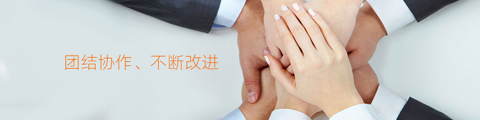 泰安市華翔苗木有限公司 